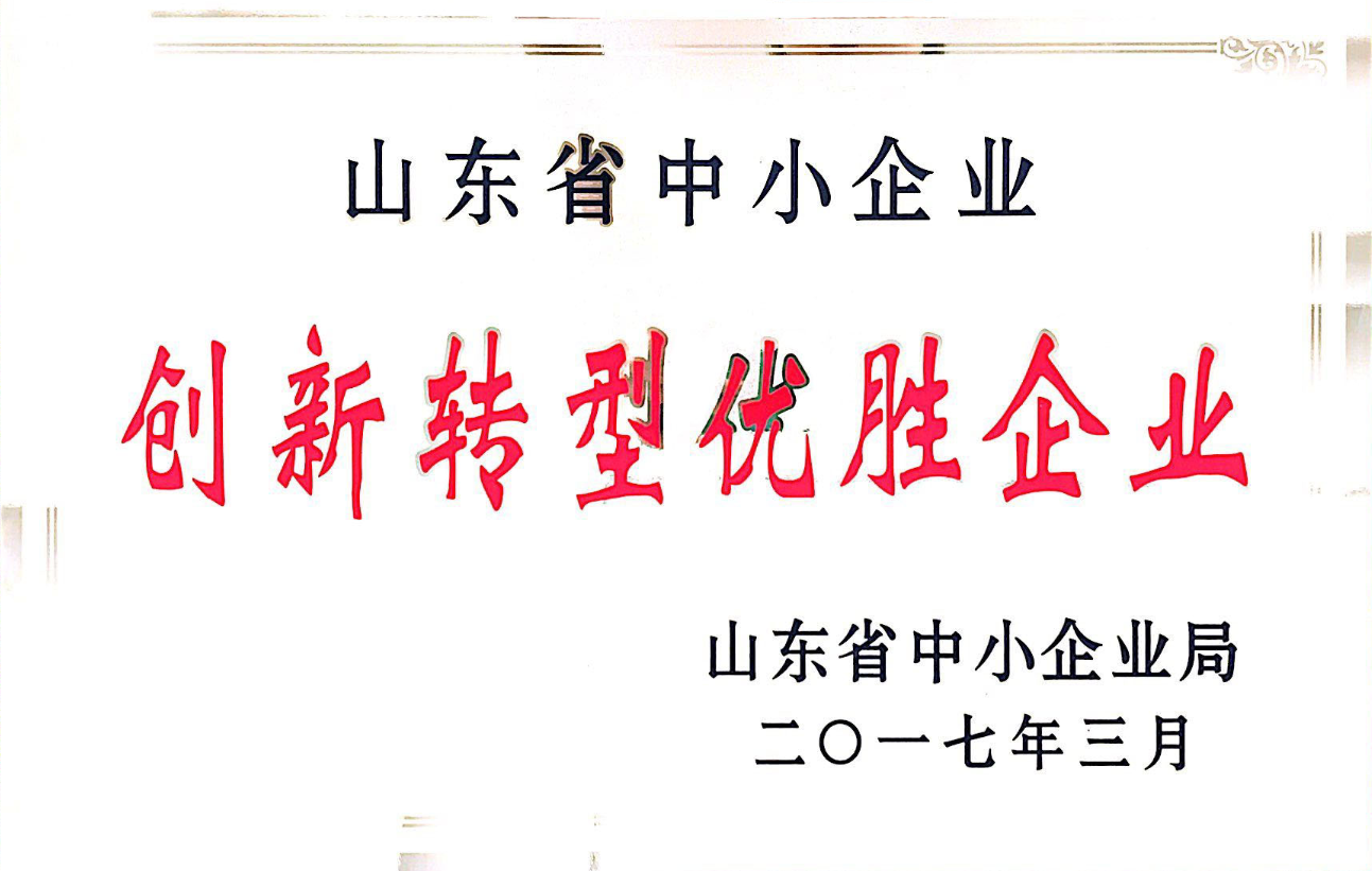 2017年公司入選山東省創(chuàng  )新轉型優(yōu)勝企業(yè)