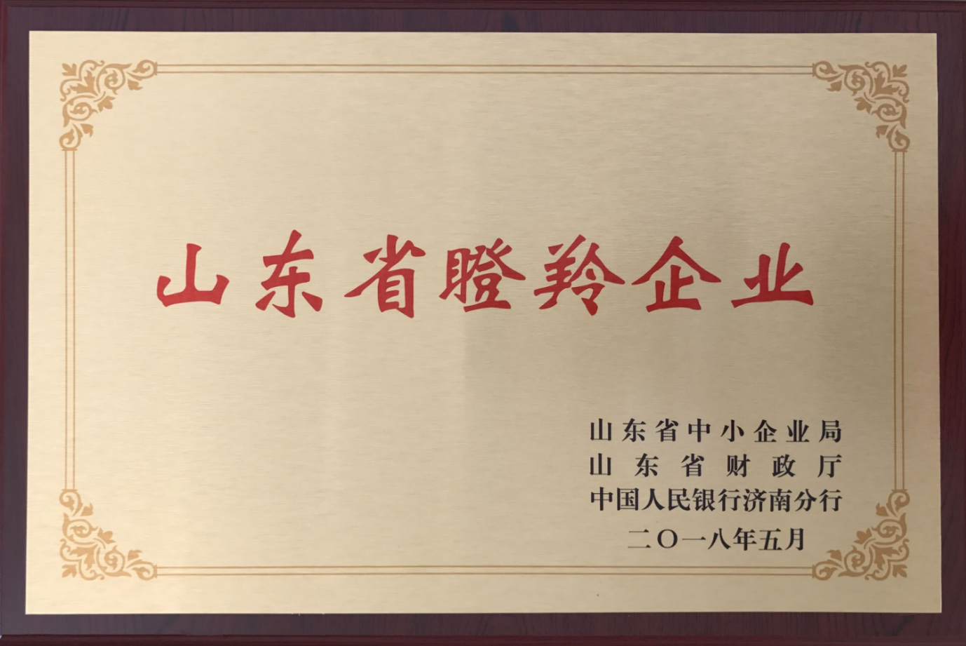 2018年公司入選山東省首批100家瞪羚示范企業(yè)
